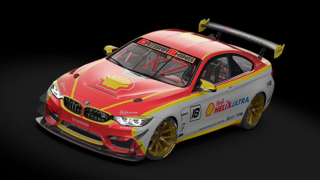 BMW M4 GT4, skin 18Shell