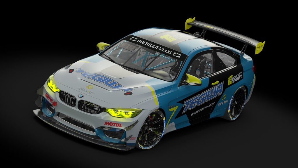 BMW M4 GT4, skin tegiwa