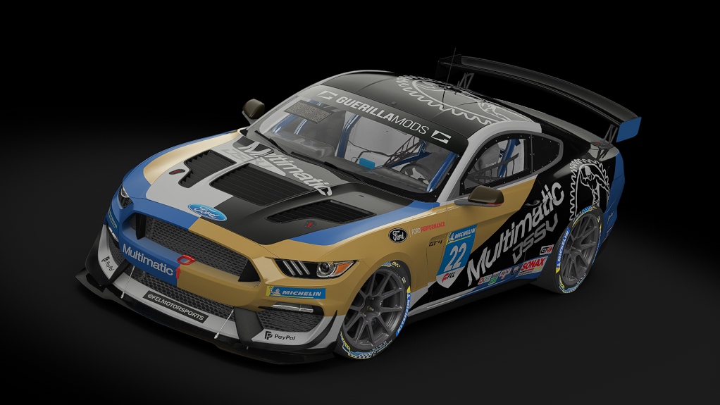 Ford Mustang GT4, skin 22_multimatic