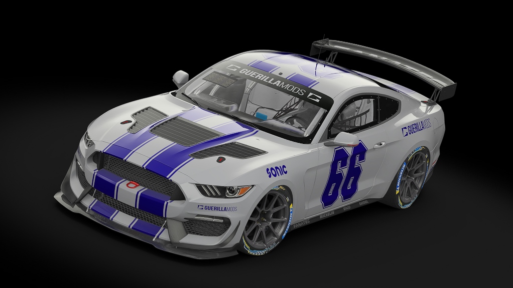 Ford Mustang GT4, skin 66_guerilla_racing