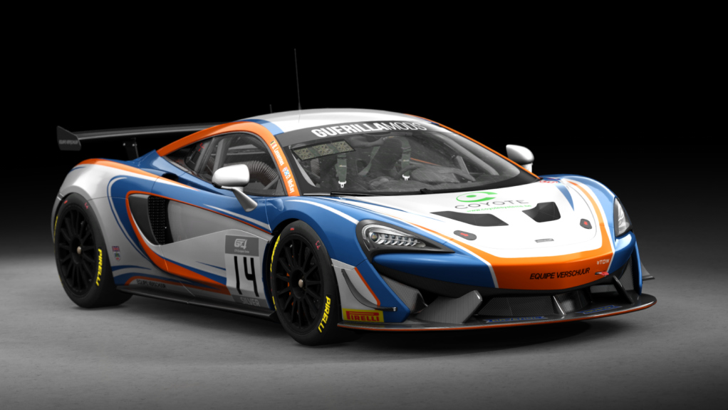 McLaren 570S GT4, skin rm_gt4_european_series_2019_equipe_verschuur_14