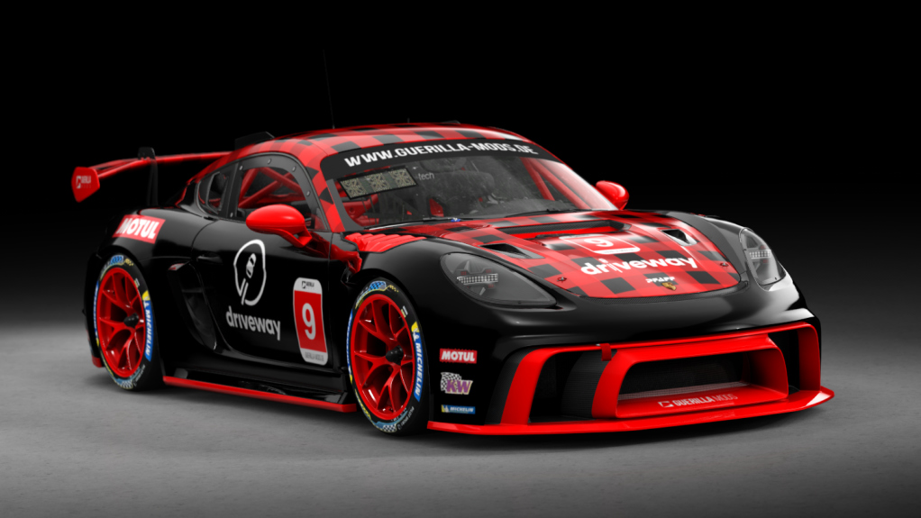 Porsche Cayman RSR, skin 9_pfaff_racing